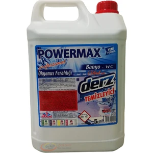 Professional Derz Temizleyici Mavi Su 5 Lt