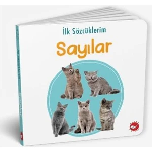 İlk Sözcüklerim - Sayılar