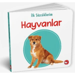 İlk Sözcüklerim - Evcil Hayvanlar