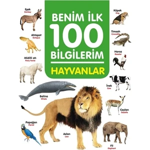 0-6 Yaş Yayınları Hayvanlar - Benim Ilk 100 Bilgilerim - Ahmet Altay