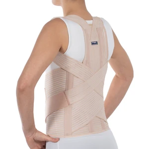 Dorselomber Korse Bej