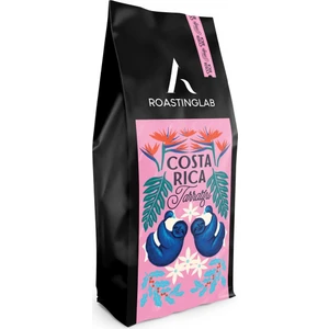 A Roasting Lab Costa Rica Tarrazu (250 Gram) Filtre Kahve