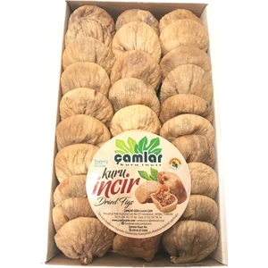 Incir Protoben Dizim 1000 gr