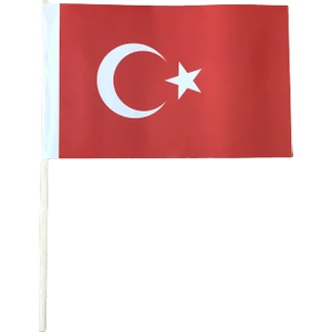 Fors Bayrak Kağıt Bayrak 100'LÜ