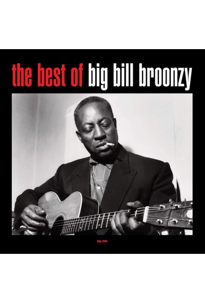 Big Bill Broonzy / The Best Of (Plak)