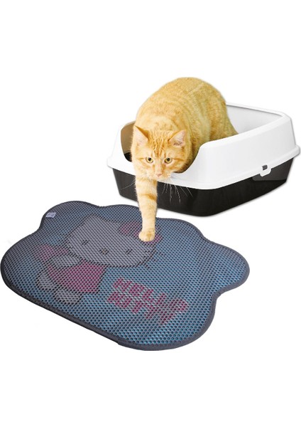 Hello Kıtty Paspas Pati 01