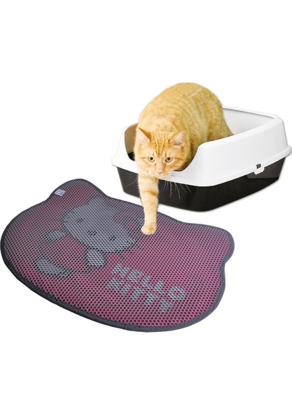 Hello Kıtty Paspas Kedi 02