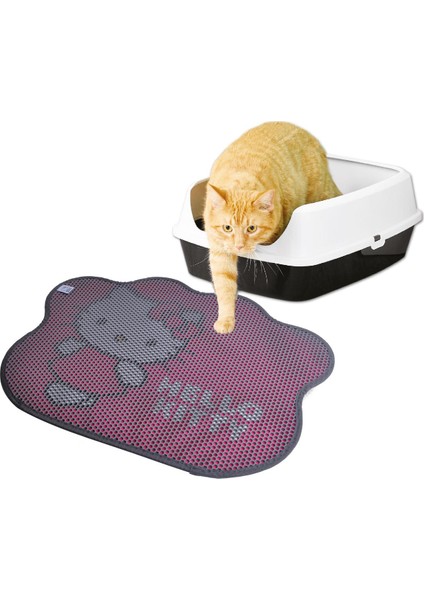 Hello Kıtty Paspas Pati 02