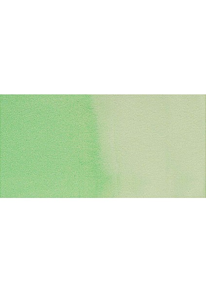 Ecoline Sıvı Sulu Boya 30 ml Pastel Green fiyatları