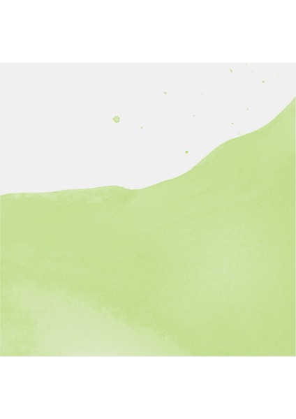 Ecoline Fırça Uçlu Sulu Boya Kalemi Pastel Green
