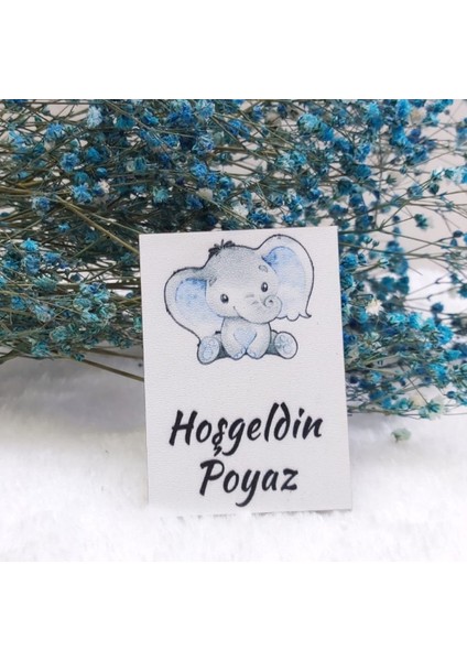 30 Adet Ahşap Magnet Fil Baskılı Erkek Bebek Magnetleri Bebek Şekeri