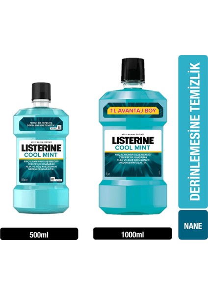 Cool Mint 1000 ml + 500 ml
