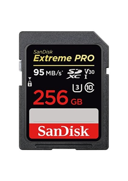 Extreme Pro 256GB SDXC V30 Class 10 UHS-I Hafıza Kartı SDSDXXG-256G-GN4IN