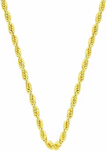 Burgu 14 Ayar Altın Zincir Kolye 50 cm