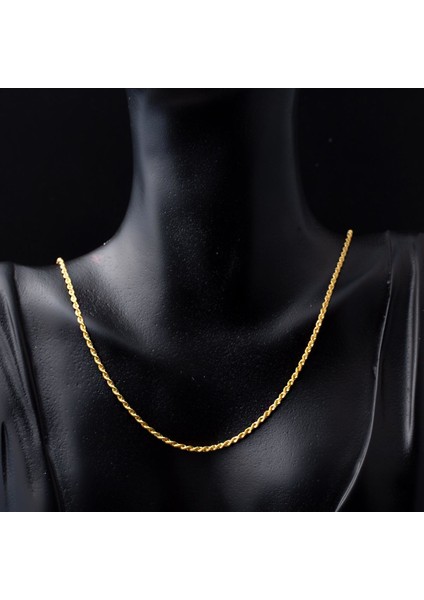 Burgu 14 Ayar Altın Zincir Kolye 50 cm fiyatları