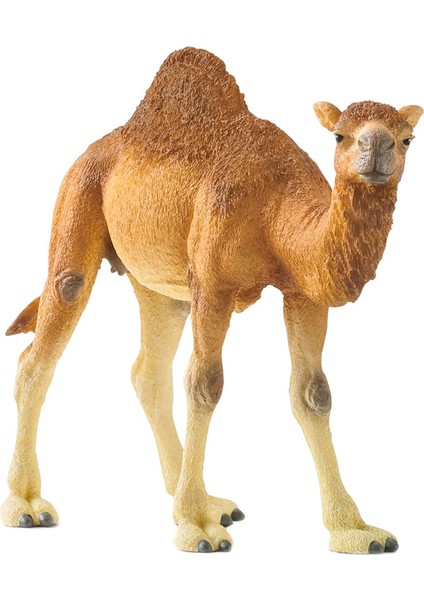 Wild Life Figür Hörgüçlü Deve CWL14832