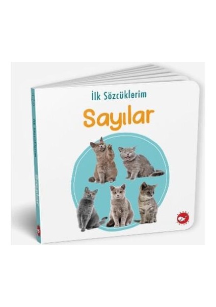 İlk Sözcüklerim - Sayılar