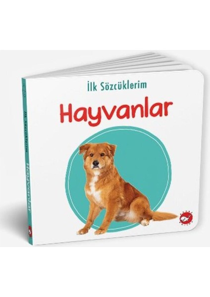 İlk Sözcüklerim - Evcil Hayvanlar
