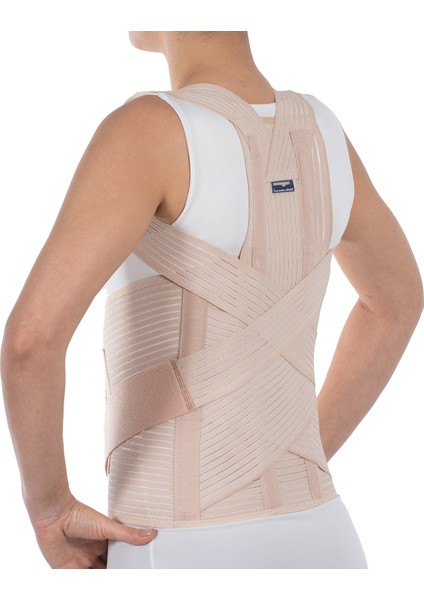 Dorselomber Korse BEJ100-110CM