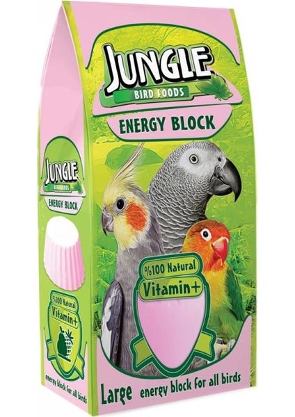 Büyük Boy Enerji Blok