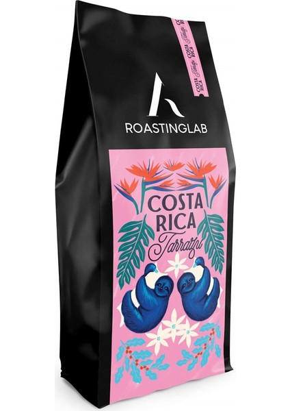 Costa Rica Tarrazu (250 Gram) Filtre Kahve (Hario V60 Dripper)
