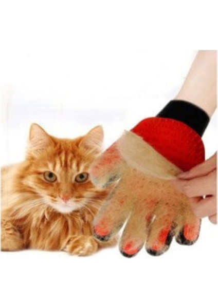 Lion Pet Tüy Toplama Eldiveni Kedi ve Köpeklere- Kırmızı