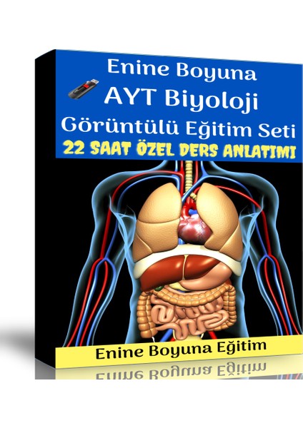 AYT Biyoloji Görüntülü Eğitim Seti (22 Saat Özel Ders Anlatımı)