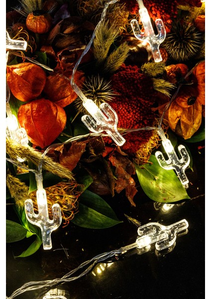 Pilli Kaktüslü Çok Amaçlı LED Dekoratif Aydınlatma