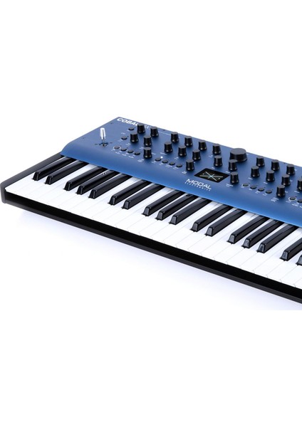 Modal Electronics COBALT8X 61-Tuşlu 8 Sesli Extended Virtual Analog Synthesizer