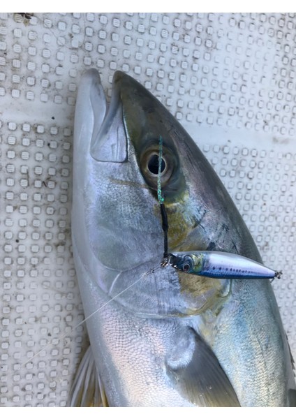 Metal Adict 01 65 mm 30 gr Jig Yem - 13 fiyatları