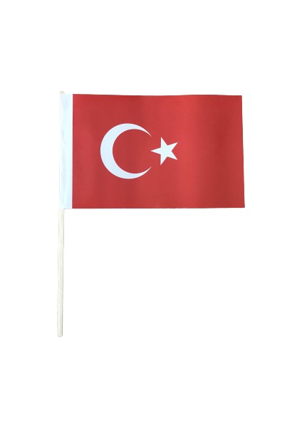 Kağıt Bayrak 100'LÜ