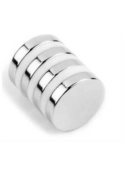 Far Temizleyici Neodyum Mıknatıs 15 x 3 mm Güçlü Far Temizleme Mıknatısı 4'lü
