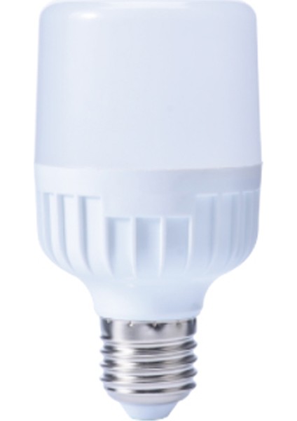 CT-4263 30W LED AMPUL (BEYAZ) CATA