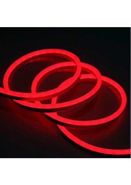 LED Neon Esnek Şerit LED 2 Metre Kırmızı + 220 Volt Fiş Dahil