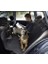 Elegance Araç Koltuk Koruma Kılıfı Sıvı Geçirmez Şilte Kedi Köpek Örtüsü + Emniyet Kemeri- Siyah 3