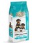 Kuzu Etli Yavru Köpek Maması 15 kg 1