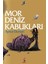 Mor Deniz Kabukları - Aynur Dursun 1