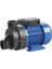 SMJBK85 Jakuzi Pompası 0.85 Hp 220V 1