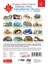 / İlk İngilizce Harfler ve Kelimeler / Kelime-Harf Heceleme-Puzzle Oyunu / Kelime Oluşturma /4-8 Yaş 2