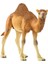Wild Life Figür Hörgüçlü Deve CWL14832 1