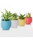 Sahra Saksı 1,3 Litre Kahverengi 15 cm No:5 5