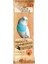 Kraker Ballı Muhabbet Için 1 Paket 3 Ad (Gold Wings) 1