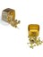 Cubbie Premium Gold Harita Çivisi 2 Çeşit 1