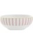 Wild Life Zebra Kase 10CM 3