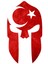 Ay Yıldız Türk Bayrağı Miğfer Sticker 10 x 6 cm 2