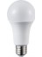 20 Adet Ct 4274 Cata 15W LED Ampul Günışığı 3000K E27 Duy 1