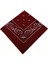 Kare Bandana Fular 1