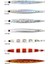 Jig Lance 80GR Jig Metal Yem 2