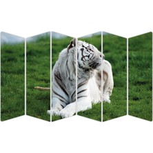 Renkselart Beyaz Kaplan Mdf TABLO-2486 Model-B