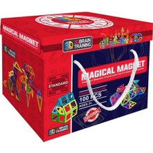 Başel Toys 6028 Magical Magnet 100 Parça